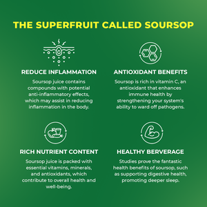 เครื่องดื่มน้ำผลไม้จาก Soursop ปราศจากน้ำตาล490มล., ฉลากส่วนตัว, oM/odm, ราคาโรงงาน, ตัวอย่างฟรี-ฮาลาล, brcgs - Product Image 4