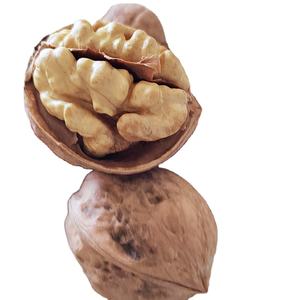 Prix le plus bas de noix d'approvisionnement d'usine dans les noyaux de noix de coquille - Product Image 1