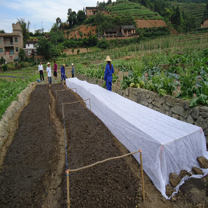 Agricultural Nonwoven Fabric Floating Row Cover 15-50 GSM Medium Weight Breathable <b>Waterproof</b> Outdoor Agriculture Use - Product Image 1