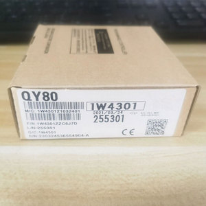 Module de sortie numérique QY81P du meilleur produit - Product Image 6