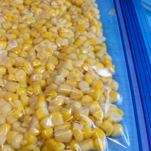 ข้าวโพดแช่แข็งพรีเมี่ยม | อุปทานที่ยั่งยืน | อายุการเก็บรักษานาน - Product Image 6