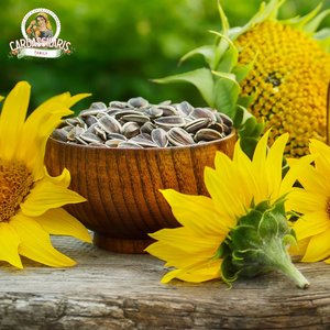 Graines de tournesol biologiques, crues et non-OGM - Product Image 3