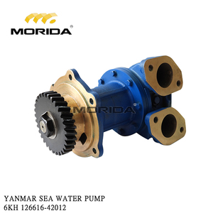 126616-42012 6KH BOMBA DE AGUA DE MAR para YANMAR - Product Image 1