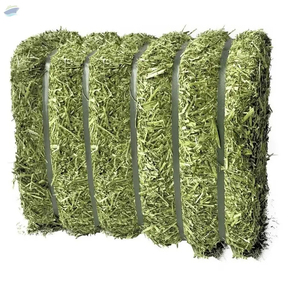 Heno de Alfalfa en Pacas 100% Natural Sin OMG para Productos Animales de Etiqueta Limpia y Operaciones de Alimentación con Pasto - Suministro al por Mayor - Product Image 6
