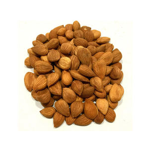 Low Price <b>Dried</b> <b>apricot</b> kernel/bitter and sweet <b>apricot</b> kernel - Product Image 5