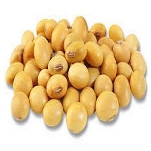 NON-GMO soja/soja biologique certifié - Product Image 3