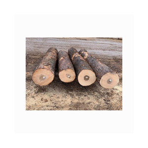 Bûches en bois de hêtre en vrac pour poêle à feu ou foyer extérieur livrées sèches et prêtes à brûler dans tout le pays - Product Image 2