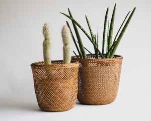 Cesta ecológica hecha de ratán para almacenamiento Maceta Contenedores de almacenamiento Venta al por mayor Vietnam - Product Image 6