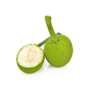 PIEZAS DE FRUTA DE PAN (SAKE) RECIÉN CONGELADA/GRADO DE ALTA CALIDAD/LISTO PARA USAR DIRECTAMENTE - Product Image 3