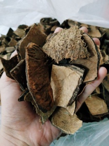 Cáscara de Coco Cruda de Vietnam para Producción Artesanal y Necesidades de Fábrica de Carbón Vegetal, Envío a Granel Disponible - Product Image 6