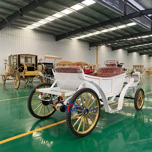 Entertainment And Leisure Wedding Carriages In Custom Colors Tour Horseless Sightseeing Horse Carriage