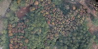 Scanner LiDAR 3D pour cartographie de drones GEOSUN GS-130X, garantie 1 an, pour la construction, la foresterie et la cartographie de couloirs