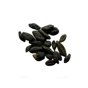 ผู้จัดจำหน่ายส่ง ยาสมุนไพรธรรมชาติ ทีเทอร์มินัลเลีย เชบูลา (บาล ฮีร์ดา/ฮิมัจ) คุณภาพสูง สดใหม่ ราคาแข่งขัน บรรจุภัณฑ์ 25 กิโลกรัม - Product Image 5