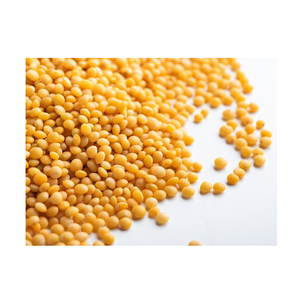 Lentilles rouges et vertes biologiques de haute qualité Lentilles jaunes entières et fendues Styles séchés et frais Meilleur prix en sacs en vrac - Product Image 3