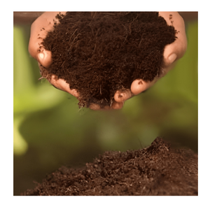 Blocs de tourbe de coco en vrac en gros - Product Image 4