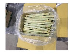 PALILLO DE CAÑA NATURAL DE VIETNAM/PALO DE CAÑA DE AZÚCAR DE ALTA CALIDAD/CAÑA DE AZÚCAR CONGELADA VENDO 2024 CON EL MEJOR PRECIO - Product Image 2