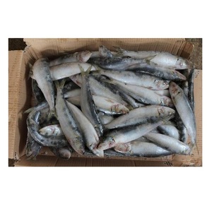 ปลาซาร์ดีนทั้งทรงกลมอาหารทะเลแช่แข็งขายดี - Product Image 3