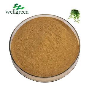 Extracto de hoja de hiedra en polvo para suplemento, producto profesional de exportación directa de fábrica