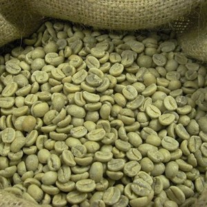 Bâton en bois de distributeur entier pour chien au Vietnam Bâton en bois de vente supérieure pour les vacances de chien - Product Image 2