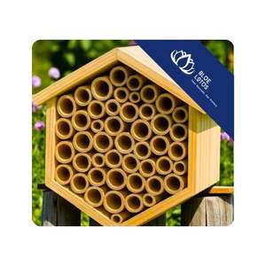 Tubes en bambou MEILLEURE VENTE pour insectes, idéaux pour les habitats d'abeilles, les kits d'agriculture durable et l'exportation de produits écologiques au Vietnam - Product Image 1
