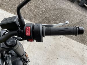 Disponible dès maintenant : Motocyclettes Trident 660 2025 neuves en stock - Product Image 4