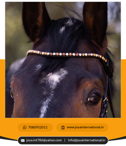 Magnifique cuir souple brillant confort Bride Marron Verni Anatomique Snaffle Dressage Brides First Choice Rider éphémère - Product Image 6