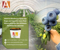 Arava OMRI Terdaftar Kantong Tanam Sabut Kelapa 1000mL Media Tanam Organik Ramah Lingkungan untuk Pertanian Budidaya Blueberry