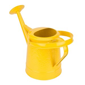 Arrosoir galvanisé de nouvelle conception pour la maison et le jardin avec le bidon d'eau de finition personnalisé - Product Image 6