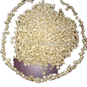Maíz blanco sin OGM - Product Image 1