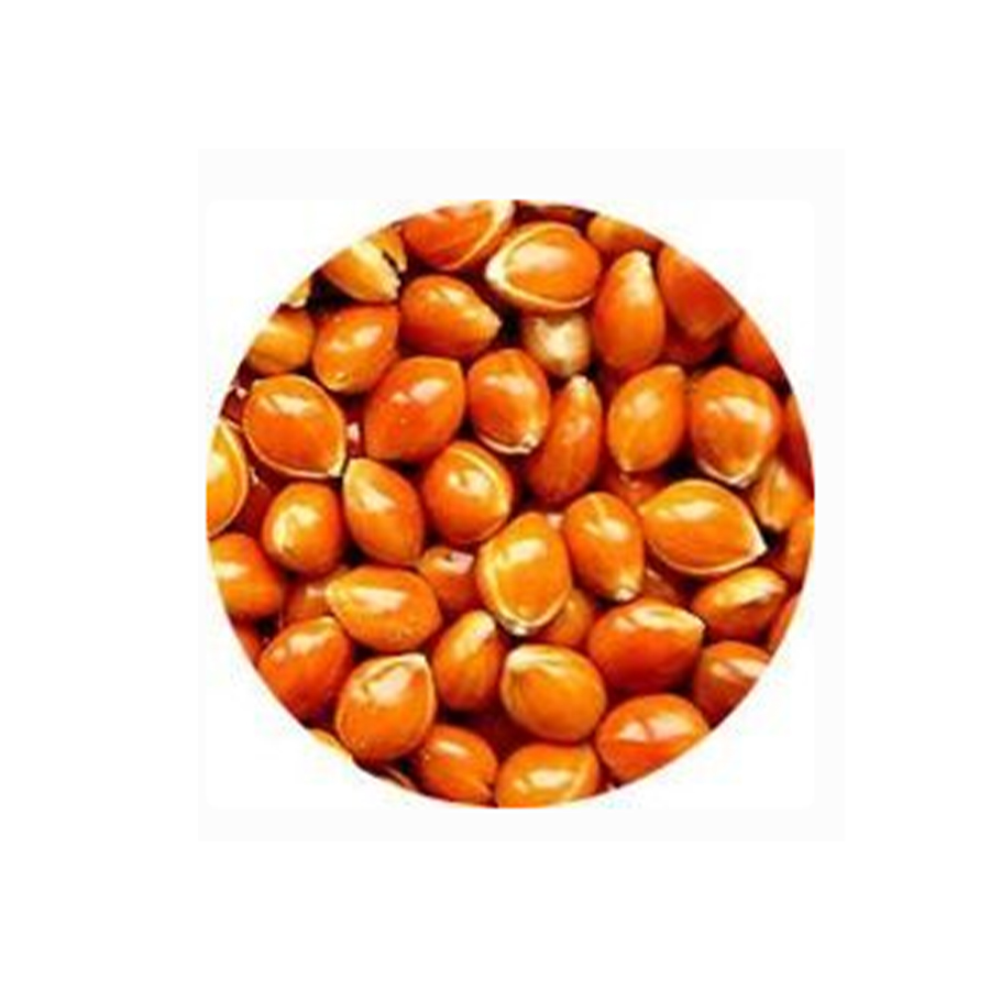 prestige premium canaries