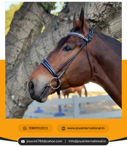 ORSE riridle uustomized He he AUREN olloled lack eath nanafle Ridle riresage rirills eaeath Smart - Product Image 2