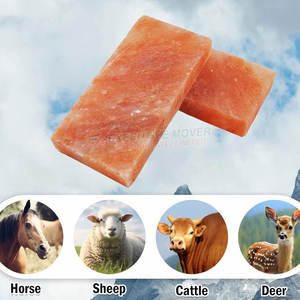 Briques et carreaux de sel de l'Himalaya naturel de qualité supérieure, briques de sel de l'Himalaya les plus vendues pour la meilleure vente - Product Image 3