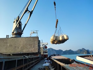 Prix le moins cher ciment Portland gris CEM I 42.5 ciment de haute qualité Vietnam pour la construction - Product Image 6