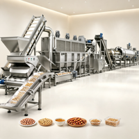Équipement industriel automatique pour la fabrication de snacks d'arachides enrobés, pour le revêtement, la torréfaction, l'assaisonnement et la production d'arachides.