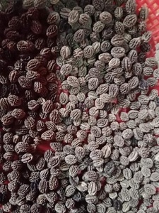 Té de flores y té de semillas con sabor a hierbas Semillas de papaya secas Hecho en Vietnam calidad de exportación 2024 - Product Image 2