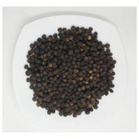 Poudre naturelle de haute qualité de piment de la Jamaïque et d'herbes mélangées séchées, en vrac, pour l'exportation en gros depuis l'Inde