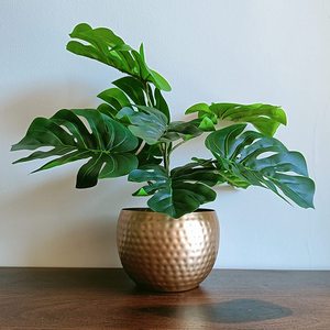 Jardinière en métal en fil de fer rustique avec support de base solide petites plantes Pot de fleur en fer couvrant la pièce maîtresse de jardin Meena - Product Image 4