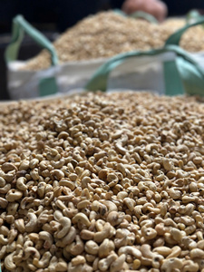 Anacardos frescos ricos en nutrientes de calidad superior y que cumplen con los estándares de exportación, una excelente opción de refrigerio saludable - Product Image 4