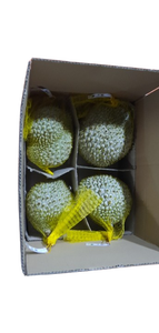 ทุเรียนสดจากเวียดนาม-ผลไม้ทุเรียนสดจากเวียดนาม - Product Image 2