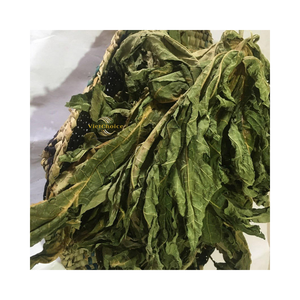 Hoja de Papaya Seca de Alta Calidad, Material Herbal Procesado y Limpio para Compradores Globales - Product Image 4