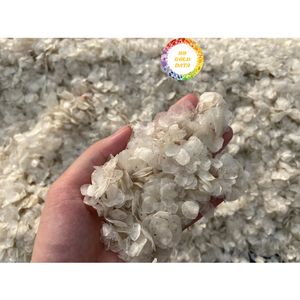 เกล็ดปลาแห้งวัสดุธรรมชาติจากเวียดนาม - Product Image 1