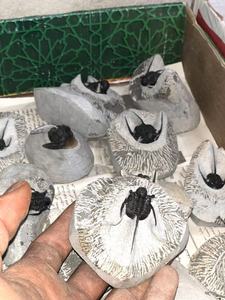 Escultura de Piedra Fósil de Calamina Tribolita Tallada - Product Image 4