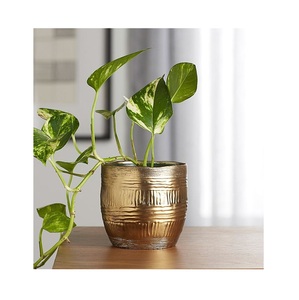 Jardinière en métal faite à la main avec des détails uniques conçus pour convenir aux appartements urbains et aux maisons de style campagnard - Product Image 4