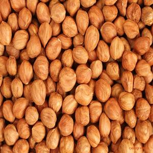 Noix de hêtre entières, superaliment santé, sacs de 25 kg |   Noix de hêtre brutes séchées de haute qualité en gros, teneur 99,5 % - Nouvelle récolte - Product Image 6