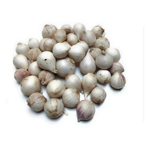 กระเทียมขาวออร์แกนิกระดับพรีเมี่ยมมีความเผ็ดร้อนสูงทำความสะอาดและจัดเรียงจำนวนมากสำหรับผู้ซื้อทั่วโลก - Product Image 2