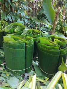 ใบกล้วยสดใบใหญ่สำหรับห่ออาหารผลิตภัณฑ์เป็นมิตรต่อสิ่งแวดล้อม - Product Image 2