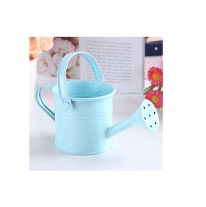 Bidon d'eau en métal abordable pour un rangement facile et un arrosoir multifonctionnel pour le jardin - Product Image 1