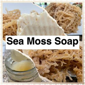 สบู่ทำจาก100% seamoss สบู่ Seamoss ธรรมชาติอินทรีย์ - Product Image 5