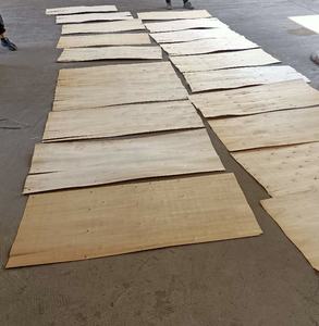 Madera contrachapada de chapa de álamo de alta calidad, fábrica de Vietnam, productos de madera al por mayor - Product Image 5