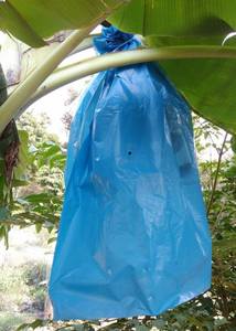 Cubierta de Plástico Termosellable Reutilizable y Ecológica de PP No Tejido para Frutas, Protege Bananas, Tomates, Jardines de Invierno y Uso Agrícola - Product Image 3